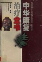 中华康复治疗全书