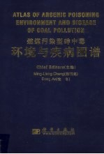 燃煤污染型砷中毒 环境与疾病图谱