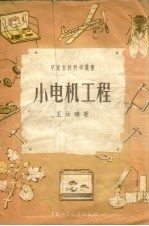 小电机工程