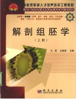 解剖组胚学 上