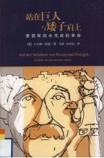 站在巨人与矮子肩上 爱因斯坦未完成的革命