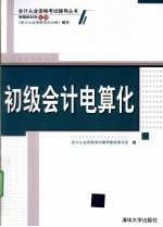 初级会计电算化