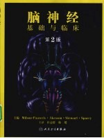 脑神经 基础与临床