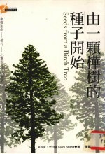 由一棵桦树的种子开始