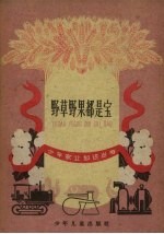 野草野果都是宝