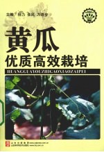 黄瓜优质高效栽培