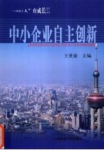中小企业自主创新