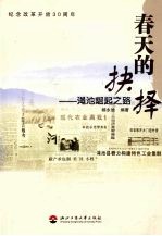 春天的抉择：渑池崛起之路