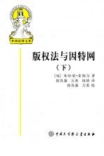 版本法与因特网 下