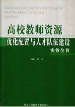 高校教师资源优化配置与人才队伍建设实务全书 第2卷