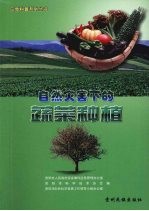 自然灾害下的蔬菜种植