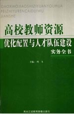 高校教师资源优化配置与人才队伍建设实务全书