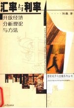 汇率与利率 开放经济分析理论与方法