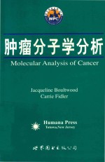 肿瘤分子学分析
