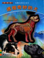 透视奇妙的犬