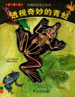 透视奇妙的青蛙