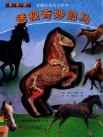 有趣的透视立体书 有趣的透视立体书 透视奇妙的马
