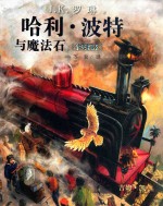 哈利·波特与魔法石 全彩绘本