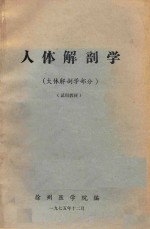 人体解剖学 人体解剖学部分