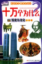 十万个为什么：历史与文化 注音版