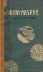 人体肺部病灶内的结核杆菌 组织细菌学及其与肺结核治疗的关系
