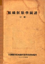 组织胚胎学图谱 下