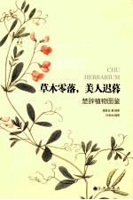 草木零落，美人迟暮 楚辞植物图鉴