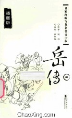 岳传 2 插图版
