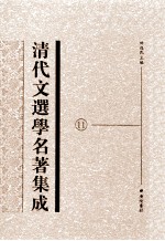 清代文选学名著集成 11