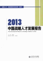 2013中国战略人才发展报告