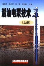 潜油电泵技术 上