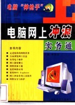 电脑网上冲浪实务通