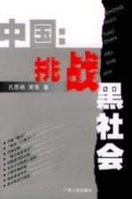 中国:挑战黑社会