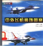 中外飞机装饰图案