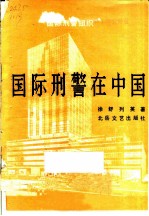 国际武警在中国