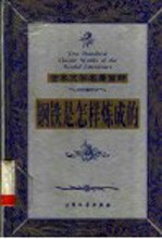 钢铁是怎样炼成的