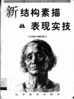 新结构素描表现实技