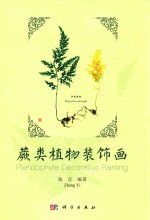 蕨类植物装饰画