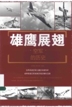雄鹰展翅 空军的历史