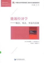 能源经济经典译丛 能源经济学 概念、观点、市场与治理