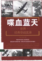 喋血蓝天 世界经典空战实录