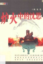 大将观点 炉火中的沈思