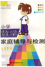 小学数学家庭辅导与检测 第11册