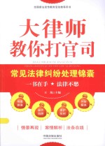大律师教你打官司 常见法律纠纷处理锦囊