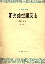阳光灿烂照天山 长笛独奏曲 钢琴伴奏