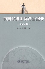 中国促进国际法治报告 2014年