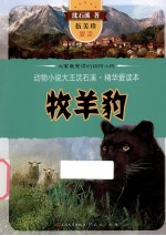动物小说大王沈石溪精华爱读本 牧羊豹