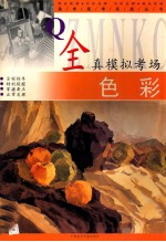 全真模拟考场 色彩