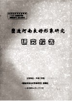 塑造河南良好形象研究 研究报告