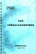 河南省大型煤炭企业多角化经营问题研究